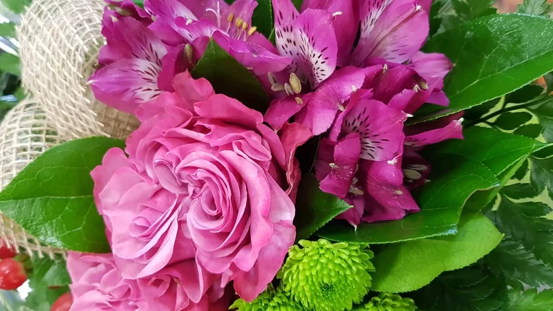 Bouquet surprise rose