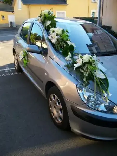 Dessus de capot