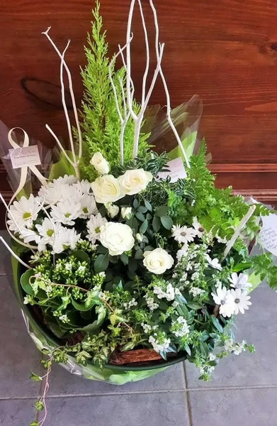 Coupe plantes