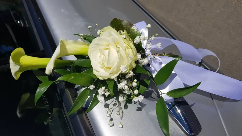 Poignée de voiture